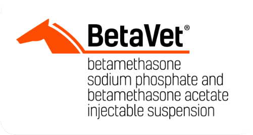 BetaVet logo